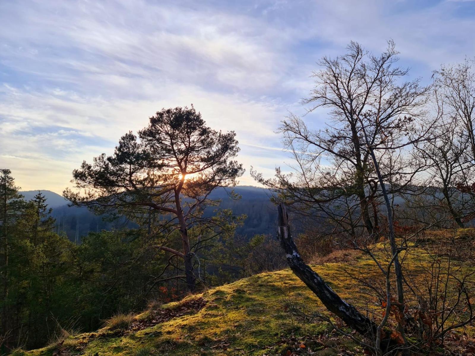 Ferienhaus Schoene Aussicht Ferienwohnung Gelb Hemfurth-Edersee Dış mekan fotoğraf